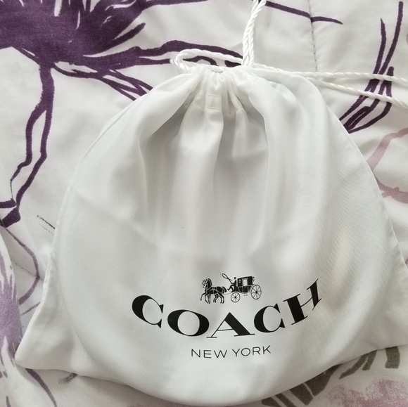 Coach belt main image 4
